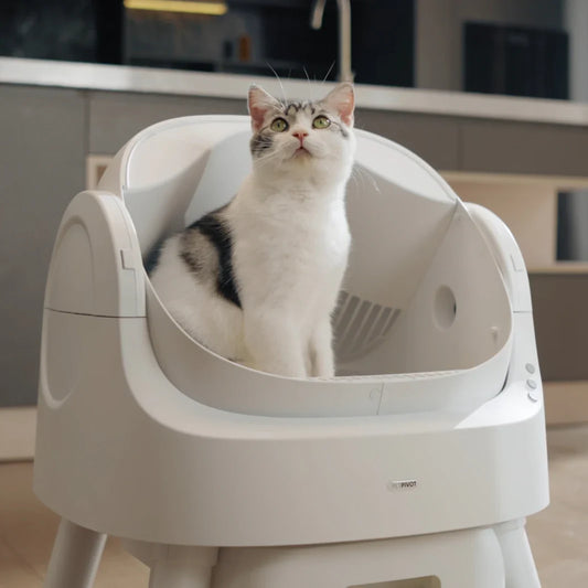 Smart Scoop-Free Cat Litter Box